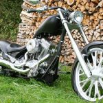 Мотоцикл Big Bear Bear Bones 2015