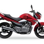 Мотоцикл Suzuki GW 250 Inazuma 2014