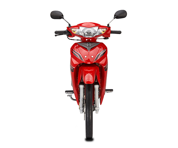 js110-bii_2010_7.jpg Мотоцикл Jianshe JS110-BII 2010