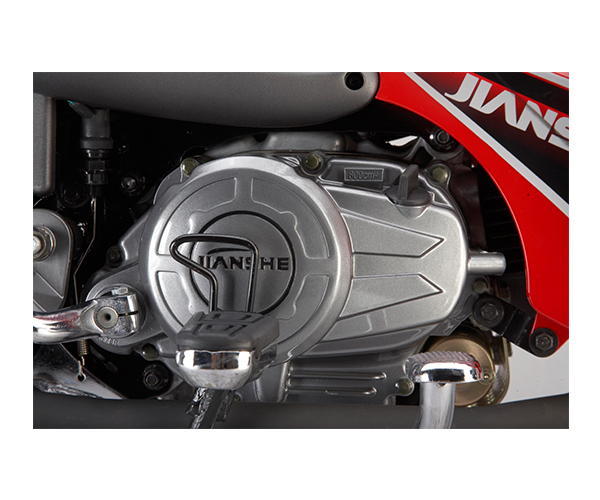 js110-bii_2010_9.jpg Мотоцикл Jianshe JS110-BII 2010