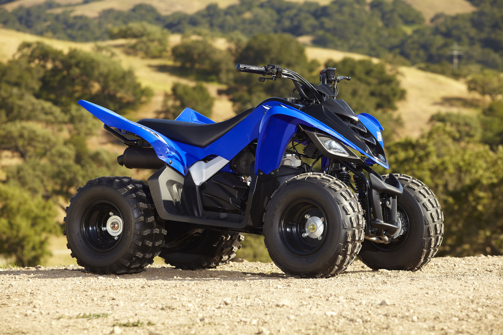 raptor-90_2011_2.jpg Мотоцикл Yamaha RAPTOR 90 2011