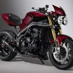 Мотоцикл Triumph Speed Triple S.E. 2010