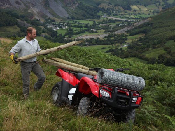 Honda TRX 500 FE 2012