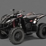 Мотоцикл Yamaha WOLVERINE 450 BLACK EDITION 2007